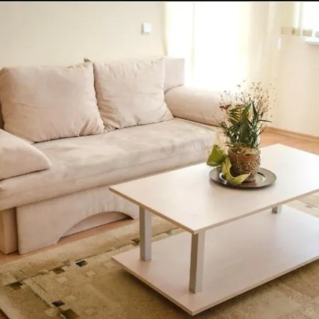 Modern Stylish Holiday