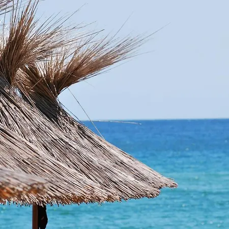 Modern Stylish Holiday