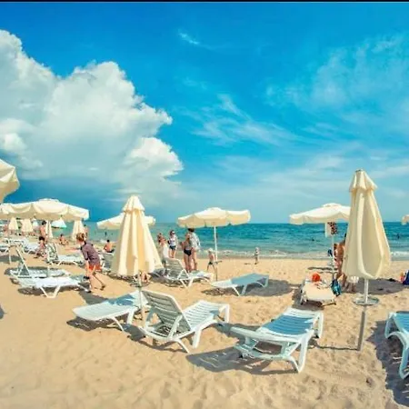 Modern Stylish Holiday *